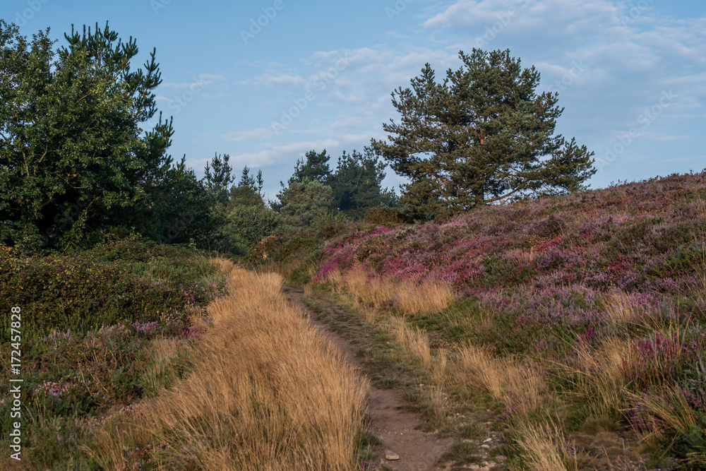 The oldest Camino de Santiago in Spain the 