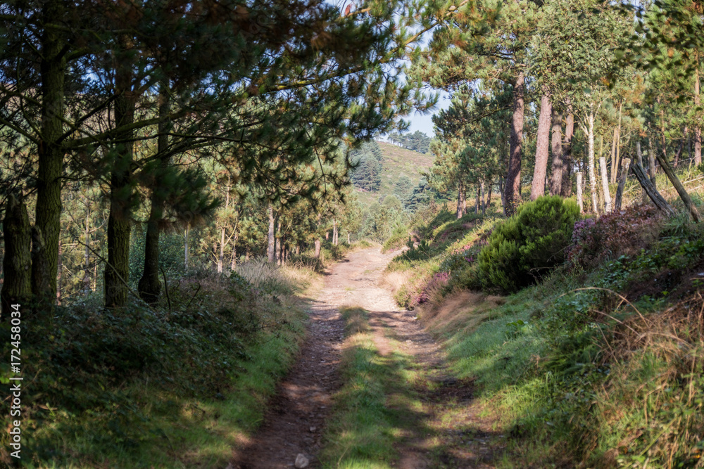 Fototapeta premium The oldest Camino de Santiago in Spain the 