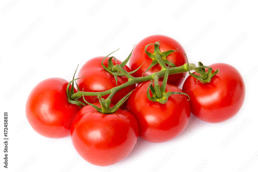 Tomaten freigestellt auf weißem Hintergrund Tomaten freigestellt auf weißem Hintergrund
