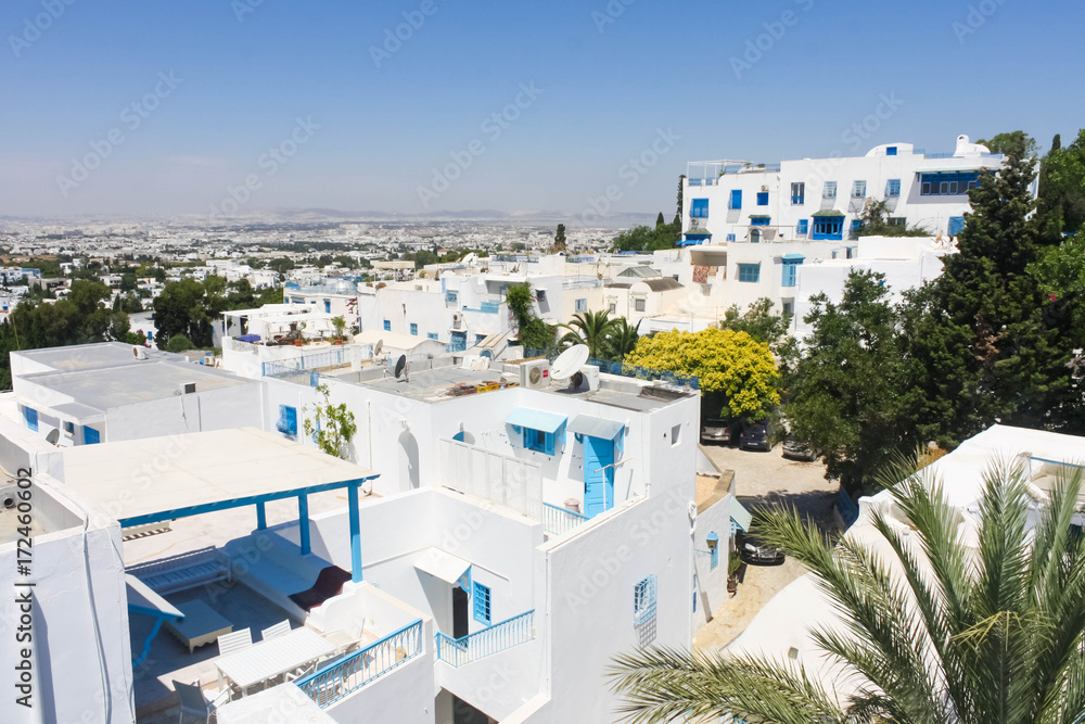 View of the town Sidi Bou Said