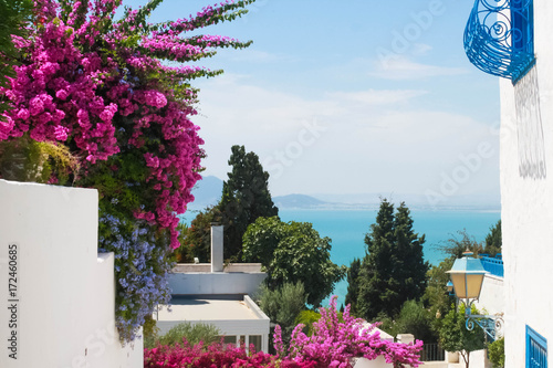 Фотография Flowers in Sidi Bou said