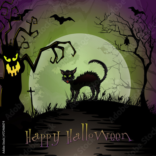Halloween night scene with spooky cat