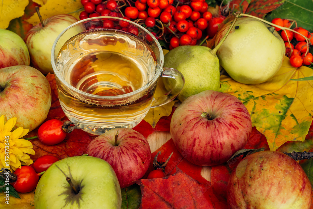 apple cider in the autumn garden with fresh apples apple cider in the autumn garden with fresh apples