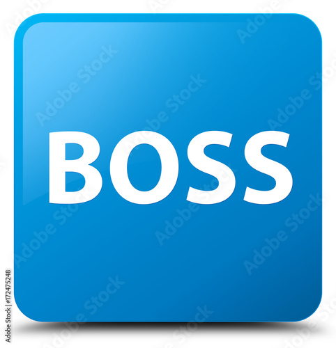 Boss cyan blue square button