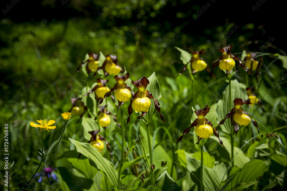 Obraz premium Wilder Kaiser, Alpen, Aufstieg, Kufstein