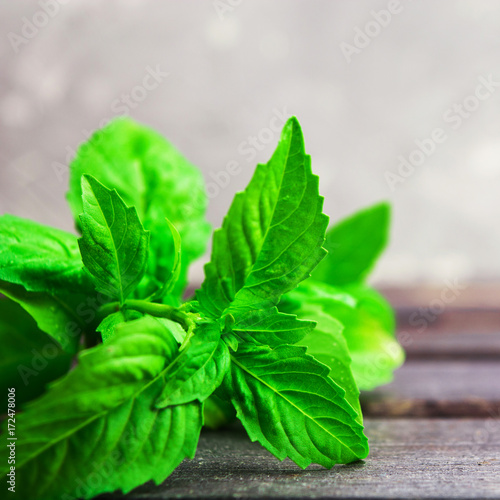 Fresh green organic basil on grey wooden table