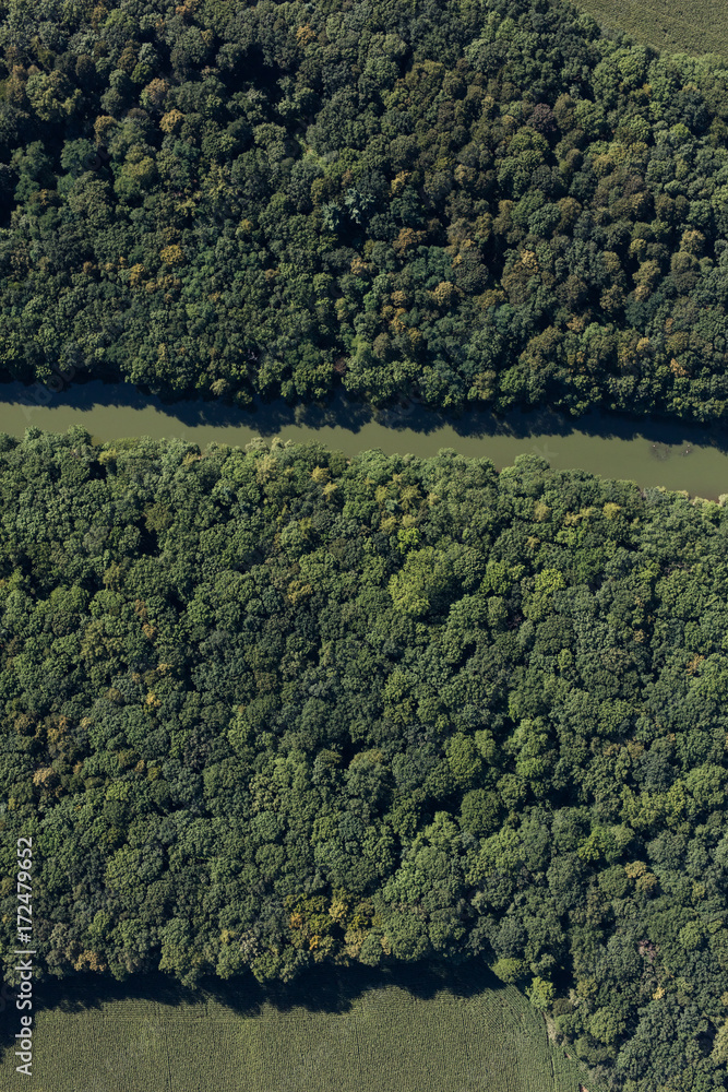 aerial view of the river in the forest