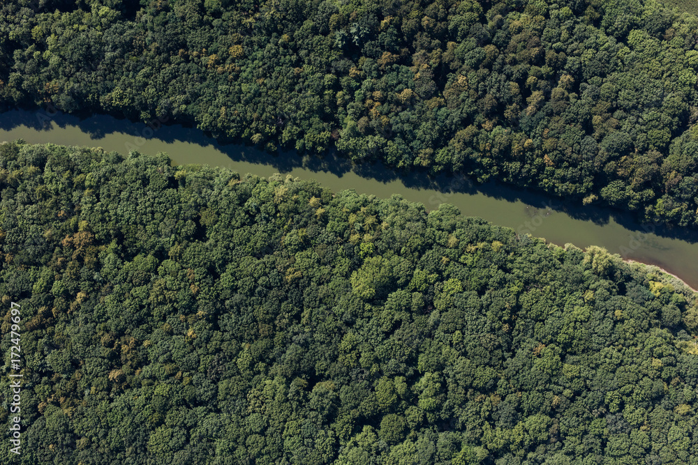 aerial view of the river in the forest aerial view of the river in the forest