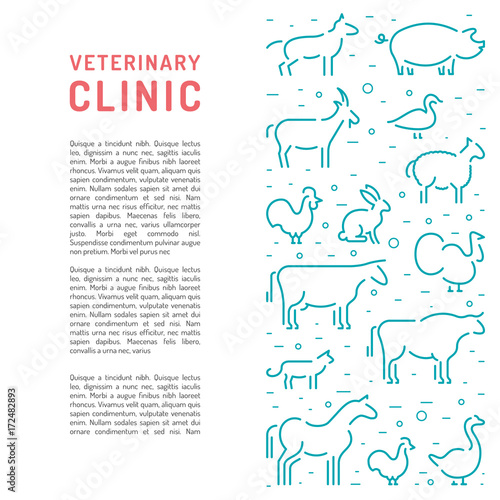 Booklet veterinary clinics with space for text. Leaflet with images of animals which are treated in the clinic for animals.