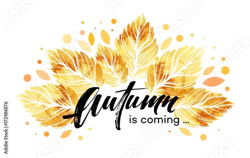 Watercolor painted autumn leaves banner. Fall background design. Vector illustration