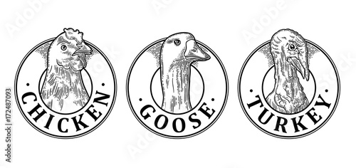 Turkey, Chicken and Goose head with lettering. Vintage vector engraving