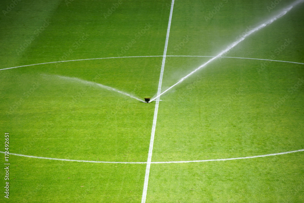Bewässerung Fußballrasen / Die grüne Rasenfläche eines Fußballfeldes mit einer Bewässerungsanlage.