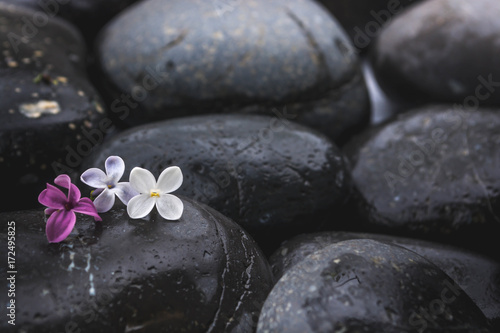 Black stones with a flower 4