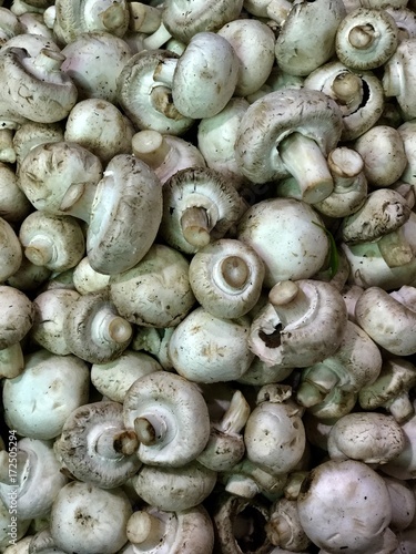 mushrooms
