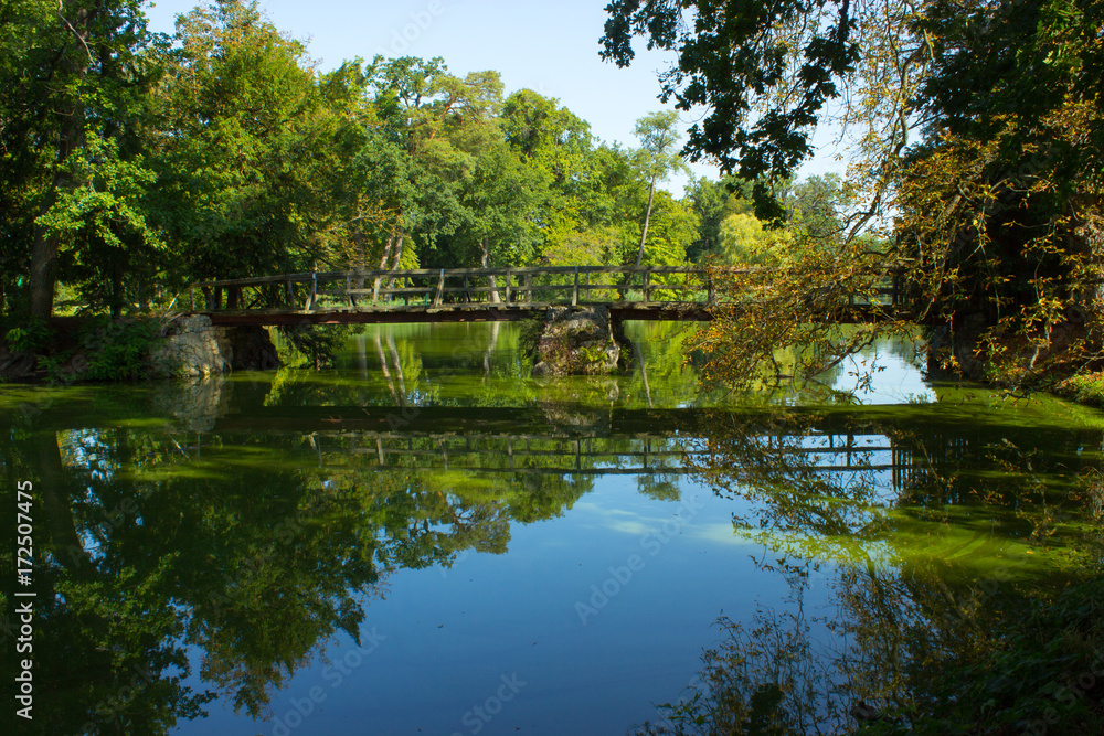 Bridge over the lake (4)