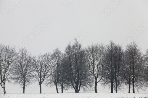 Wallpaper Mural Snow drifts in winter Torontodigital.ca