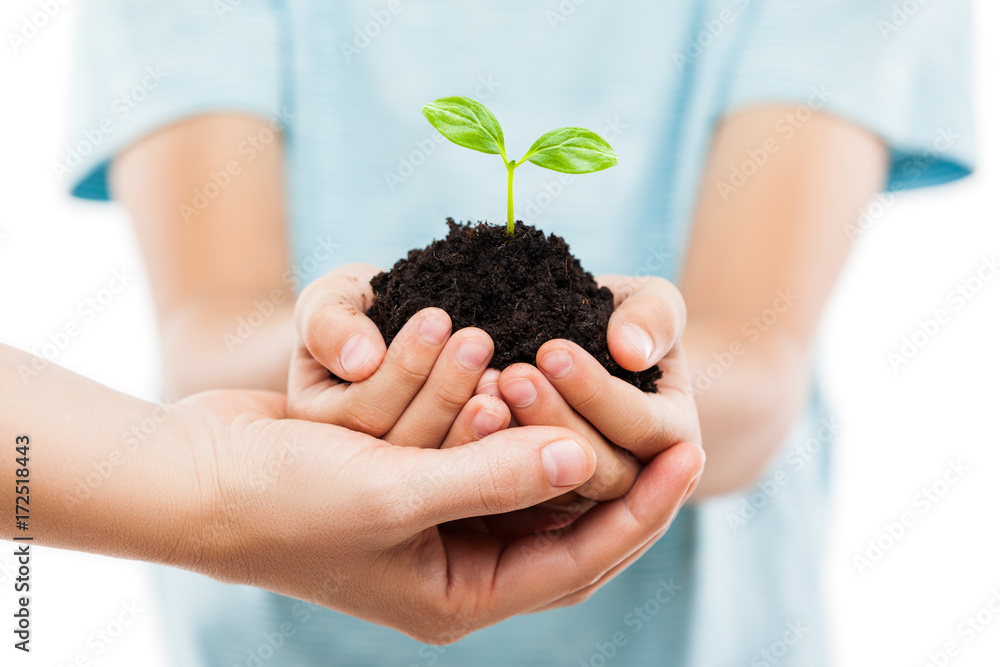 Human hands holding green sprout leaf growth at dirt soil Human hands holding green sprout leaf growth at dirt soil