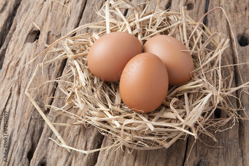 egg in hay nest on old wooden