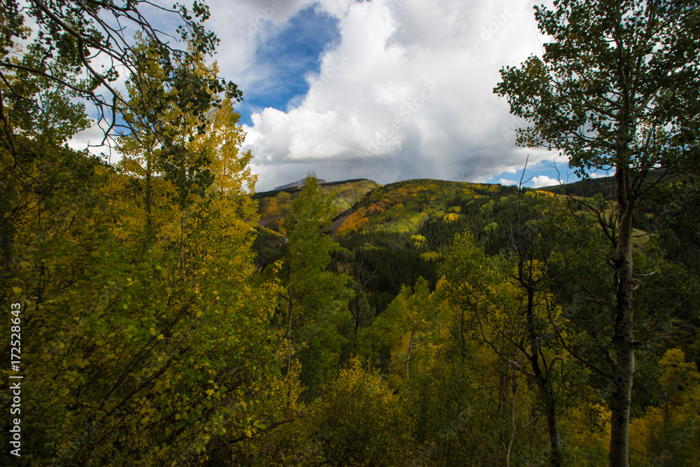 Fototapeta Colorado Góry jesienią z drzew zmienia kolor