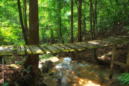 bridge in forest and sunray at Thailand