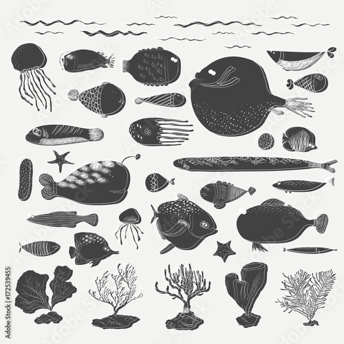 Vector of underwater creatures