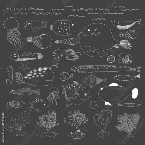 Vector of underwater creatures