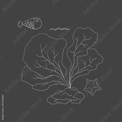 Vector of underwater creatures