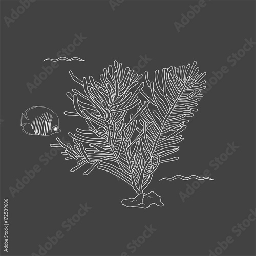 Vector of underwater creatures