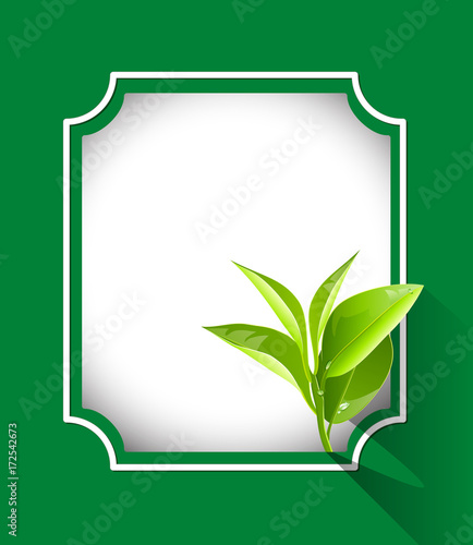 Organic tea frame