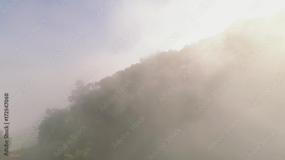 Aerial shot flying through fog over forest covered hills. Fog moves quickly. Aerial shot flying through fog over forest covered hills. Fog moves quickly.