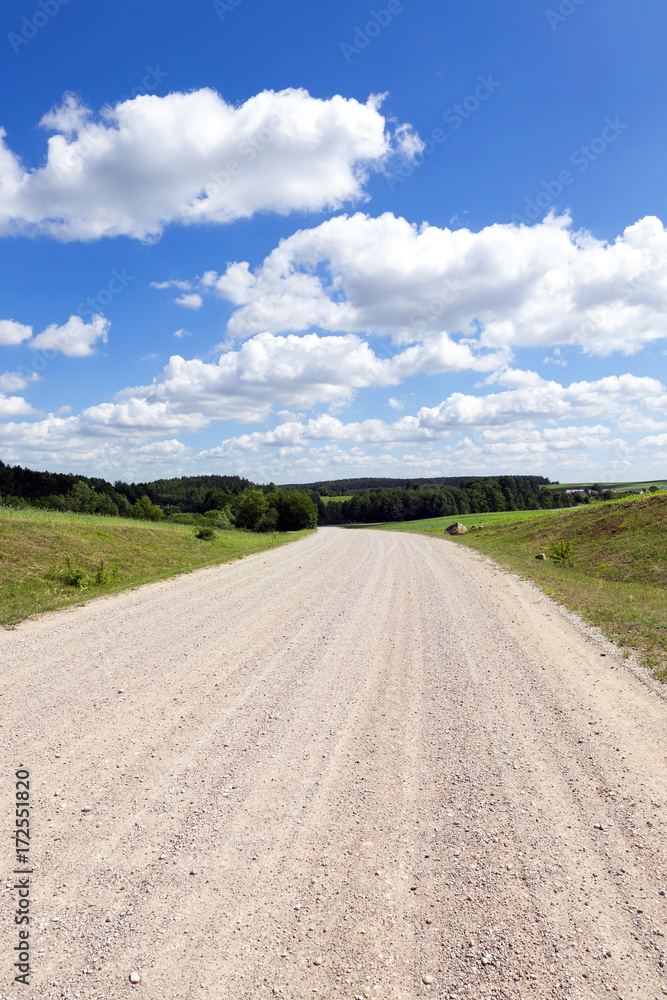 Summer landscape