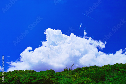 夏雲と飛行機雲