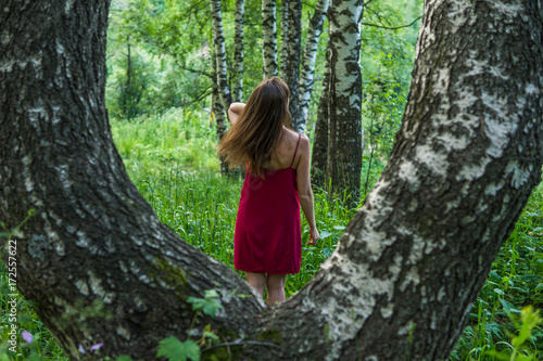 Pretty girl in red dress in a summer forest in the mountains © allenkayaa