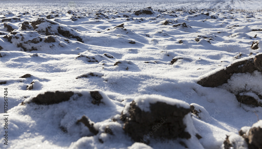 covered with snow plowed earth