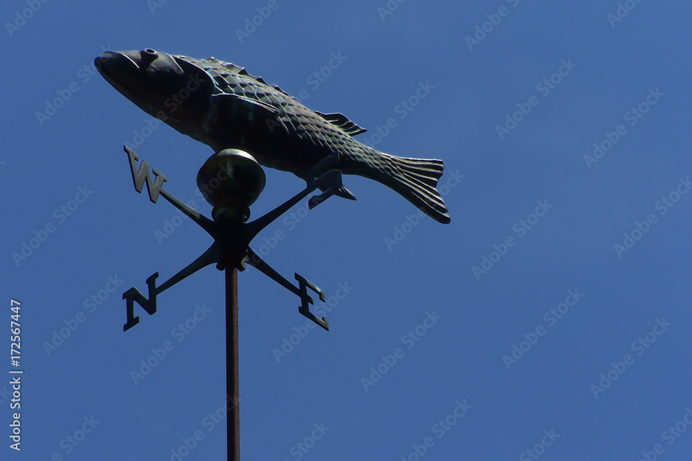 Aged Pitted Metal Weather Vane with Full-Body Fish Perched Above North, West, East, South Directional Points on Background of Clear Deep Blue Sky, Daytime Aged Pitted Metal Weather Vane with Full-Body Fish Perched Above North, West, East, South Directional Points on Background of Clear Deep Blue Sky, Daytime