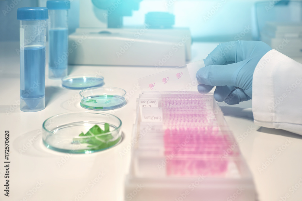 Scientific background with glass slide in gloved hand Scientific background with glass slide in gloved hand