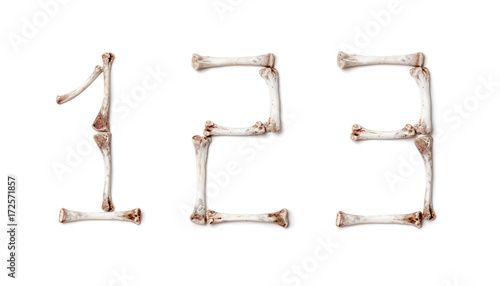 Figures are made up of chicken bones on white background