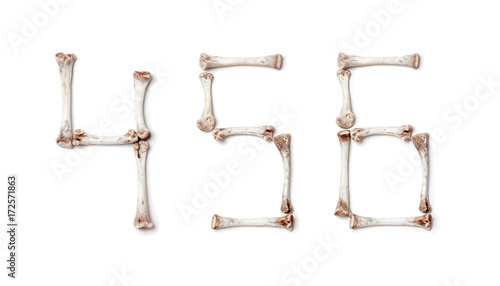 Figures are made up of chicken bones on white background
