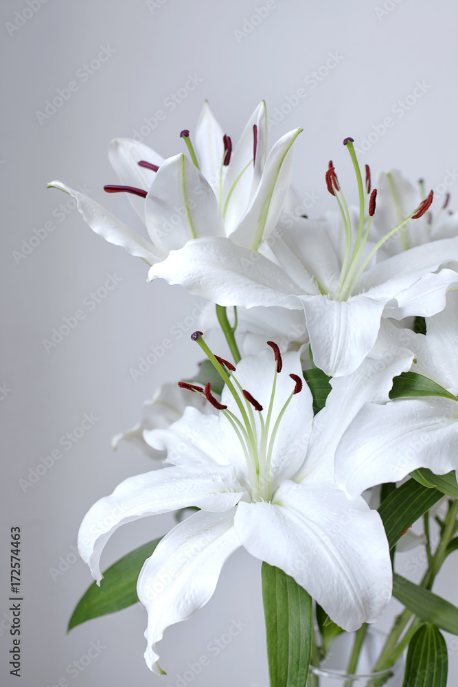 Beautiful bouquet of lilies on a white background