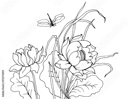 графический рисунок, цветы и стрекоза