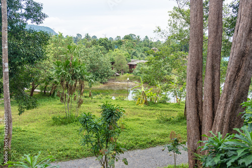 Koh Chang Landscape