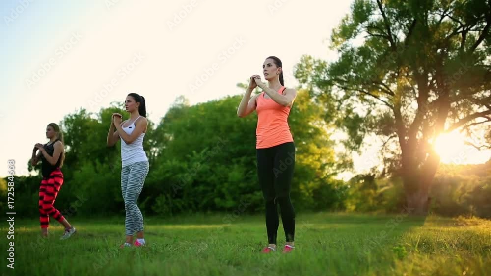 Young and attractive womans doing fitness exercises in park Young and attractive womans doing fitness exercises in park