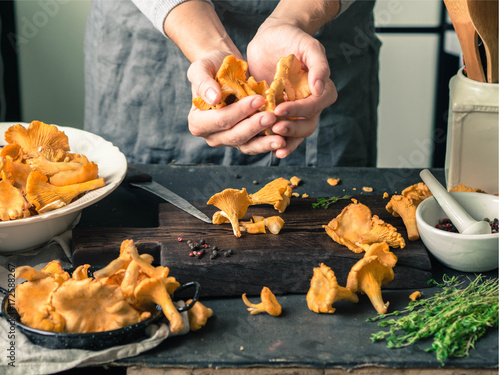 A woman is holding a handful of fresh chanterelles. Wild chanterelles mushrooms in different bowls on the table ready for cooking. Cooking concept