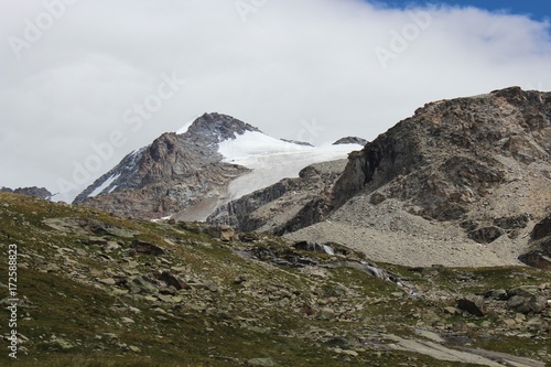 montagnes des Alpes