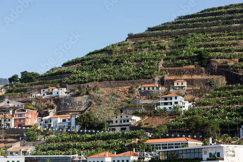 Camara de Lobos - traditional fishing village, situated five kilometres from Funchal on Madeira. Portugal