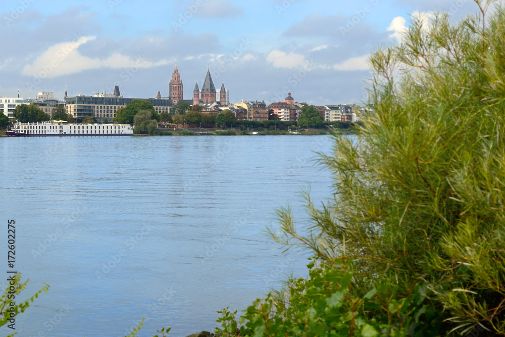 Fototapeta premium Mainz, q.