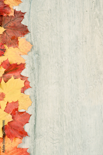 Autumn background with maple leaves.