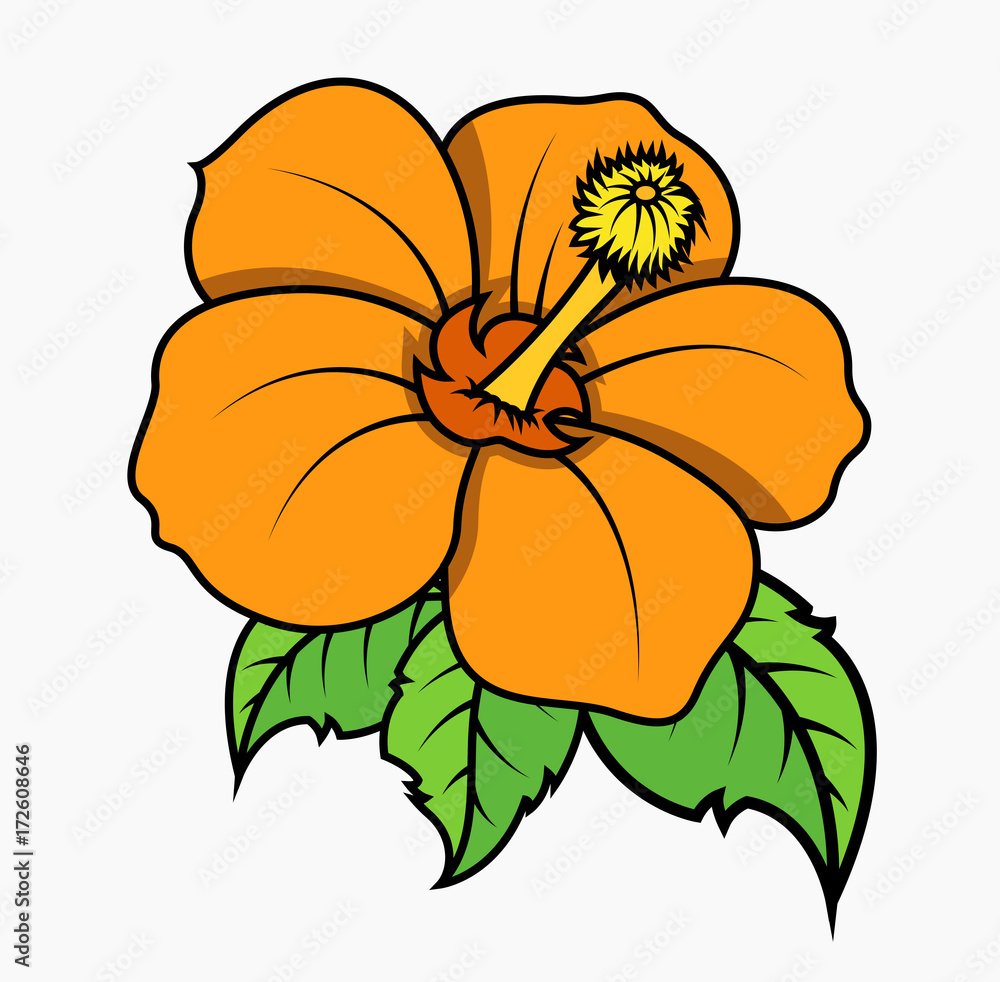 Orange Flower Vector