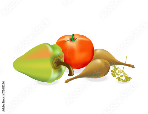 Vector realistic image of vegetables. Tomato, pepper,onion and dill on a white background.