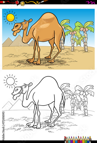cartoon camel on desert coloring book